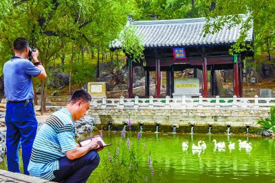守護運河源“龍泉漱玉”盛景再現