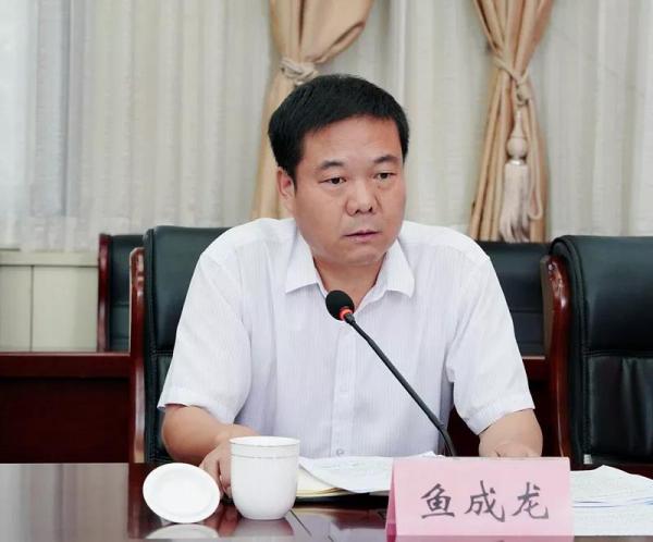 系统总结 明确任务 全面提升 高陵人才工作整装再出发！