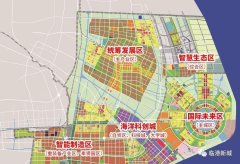 上海自贸区临港新片区多重政策利好加持 单独放