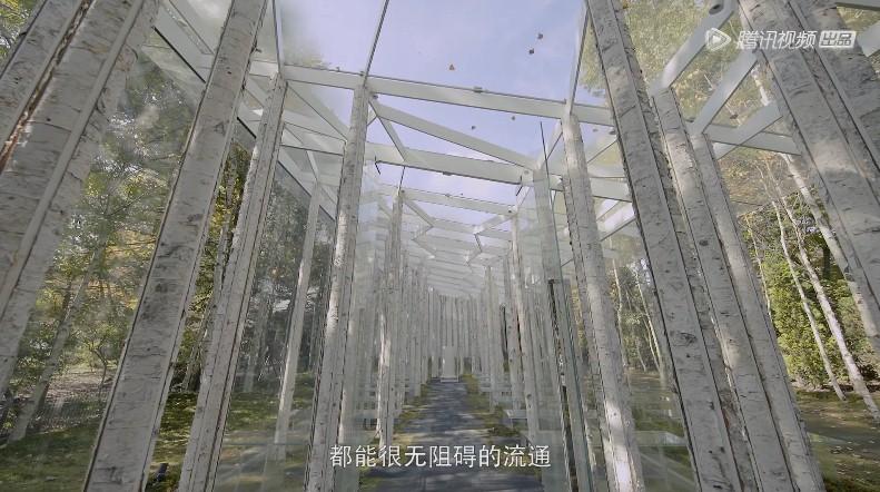 《是面包，是空气，是奇迹啊》体会设计师在建筑里赋予的情感