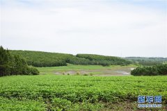 2019净水行业发展论坛在京举行