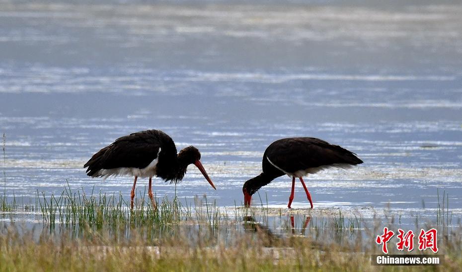 成都发布《成都青年人才的第一本实习指南》