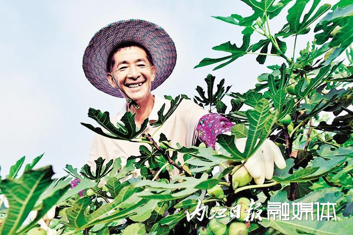 甜城 我市 青花椒 科技示范户 农业产业