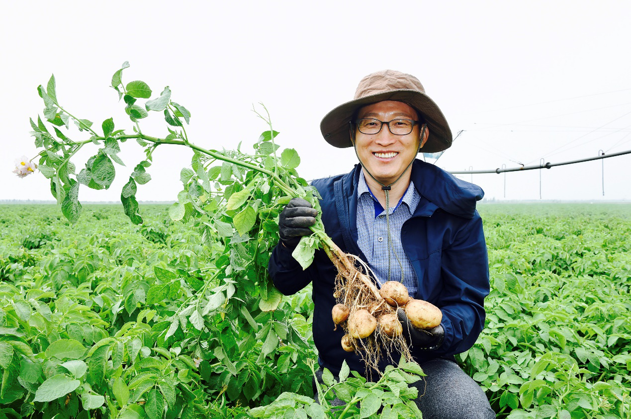 探秘好丽友土豆农场 四年执着只为极致美味