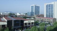 打造行业生态圈青岛“橡胶名片”推向国际舞台