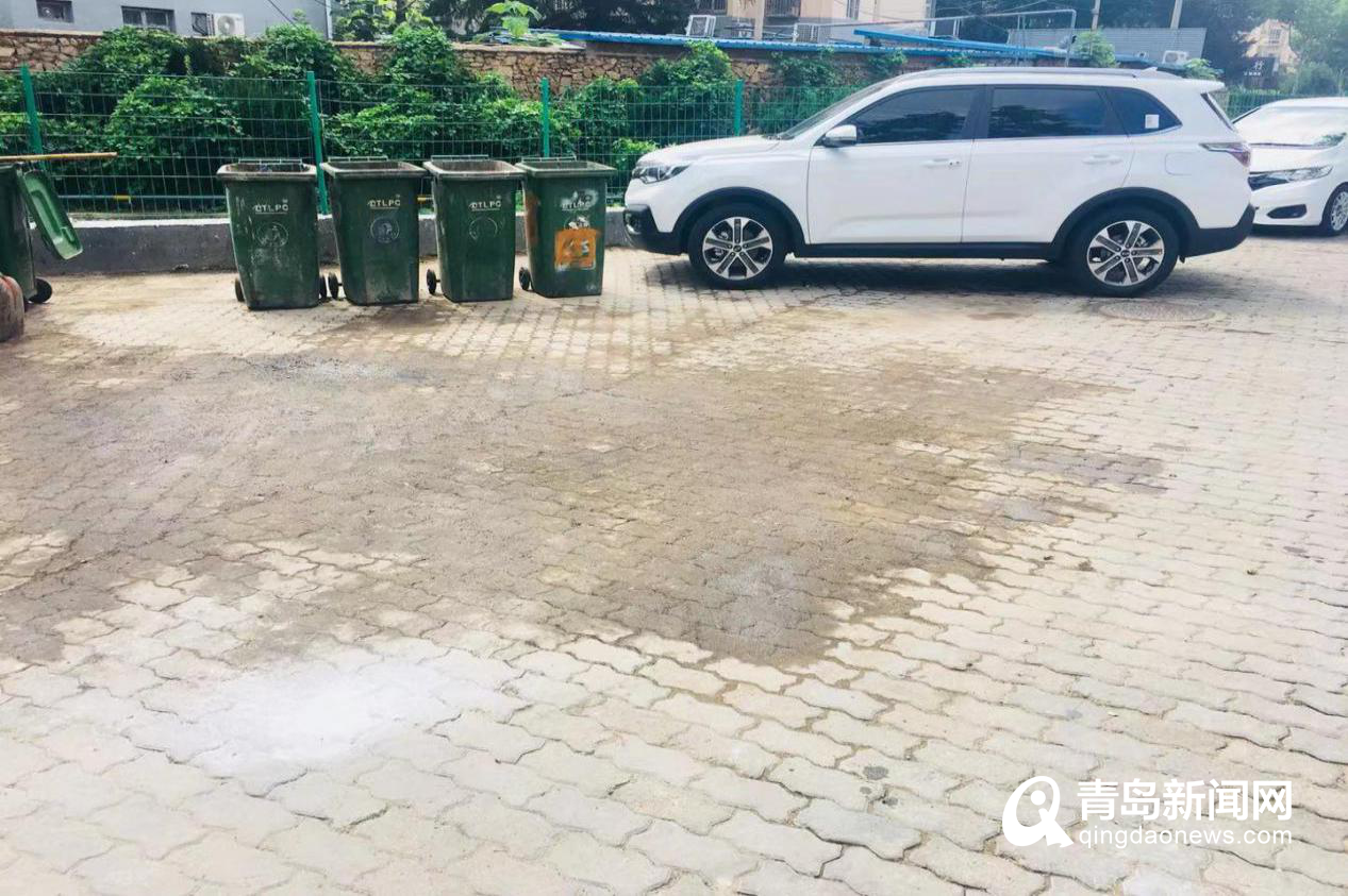 回音壁：青岛市容环境领域百日整治行动进行中