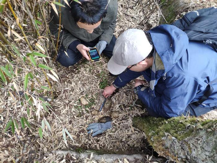 科技助力秦岭生态安全 巡山护林有了智能新向导
