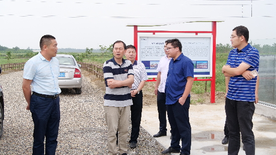 盐碱地上结出现代农业产业新硕果