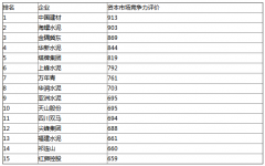 <b>水泥行业资本市场竞争力 TOP15企业排名</b>