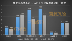 外资再保公司上半年保费上行，政策助推但规模仍受直保市场限制