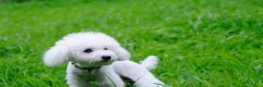 赢合科技控股股东质押部分股权