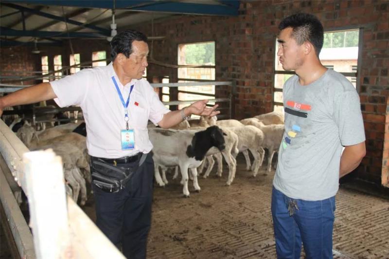 鲁山县退休畜牧专家乔书志：贫困村的流动科技“服务员”