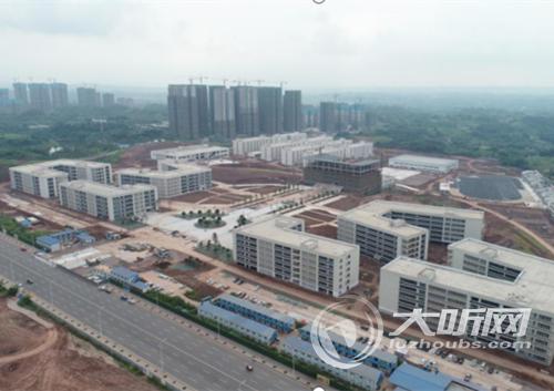 为城市建设配备专业人才 泸州这所高校新校区