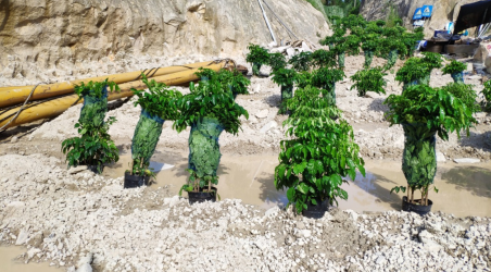 多次被约谈后，用绿网、草皮“复绿”矿山