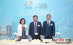 碧桂园2019年中期业绩继续领跑行业