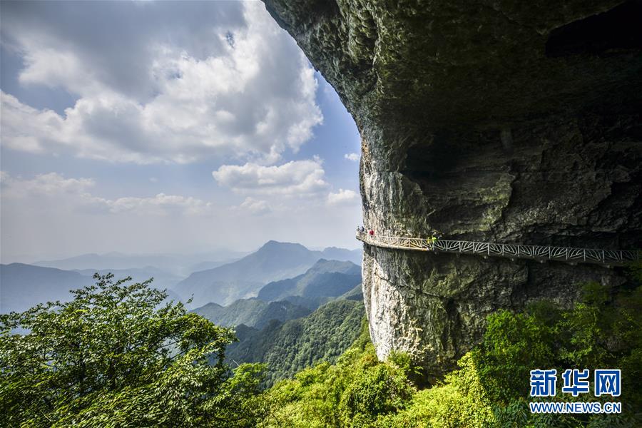 远景领航咨询有限公司总经理王强：报考学校时