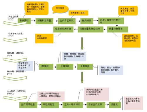 【绘读】疫苗行业的发展逻辑