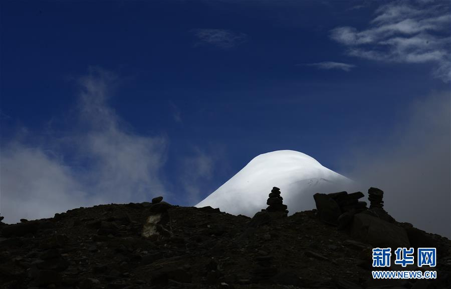 打造强大的乡村振兴人才队伍