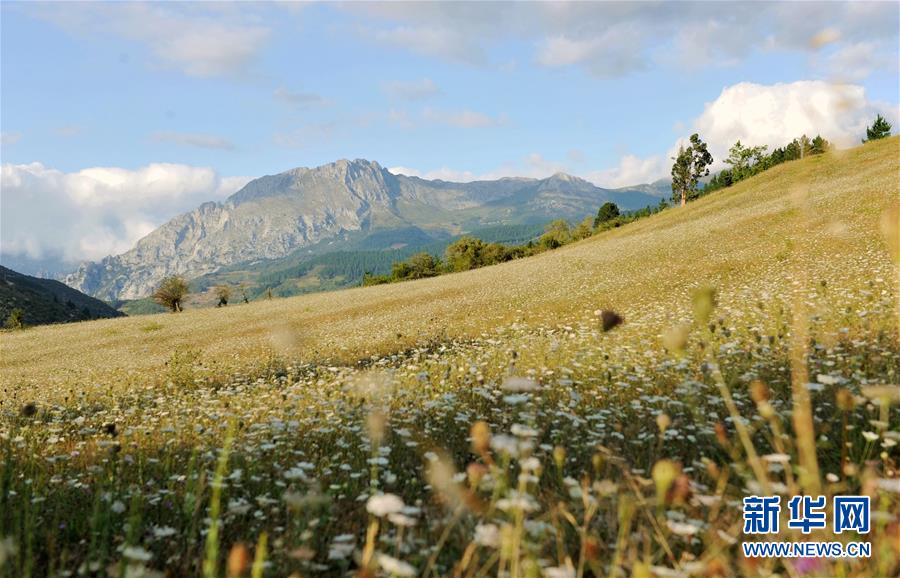 打造强大的乡村振兴人才队伍