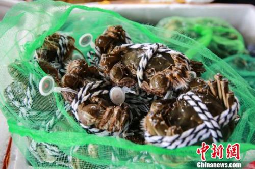 阳澄湖大闸蟹。 南航供图