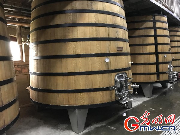 【点赞新宁夏】“筑巢引凤”打造人才高地 “聚贤引智”推动创新发展