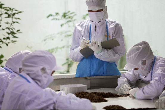 1567133193844884.png image.png