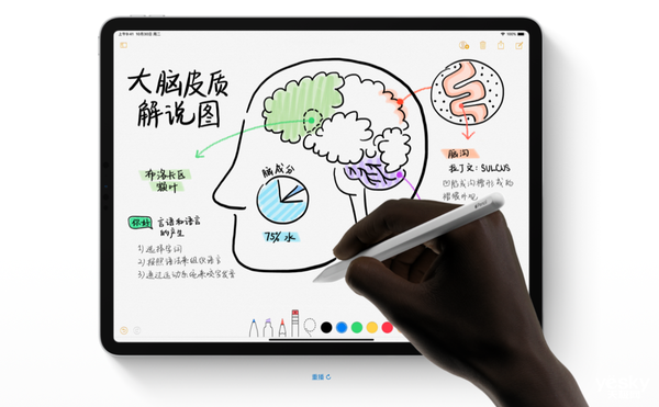 9月11日发布 关于新款iPhone的猜测都在这里了