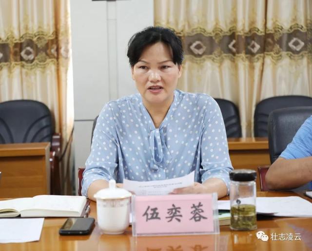 凌云专题研究特少数民族易地扶贫搬迁工作
