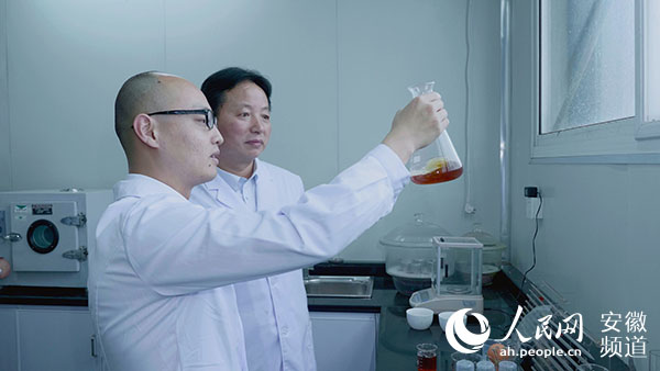 祁门天之红承担的安徽省科技重大专项通过验收