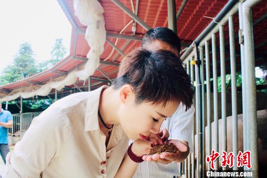 图为使用生物技术培育的生物活性菌加锯末等垫料。　叶茂 摄
