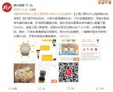 格力回应做出三高人群饭煲：煮的是糙米发芽饭