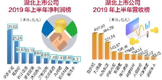 从湖北公司半年报看产业景气：生物医药最赚钱