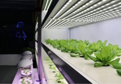 <b>中阿博览会科技范十足宁夏芯片助力5G发展</b>