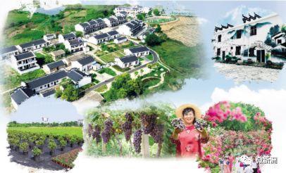 这里是,新洲仓埠!