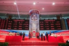 行业信息化龙头企业中科软上交所鸣锣上市