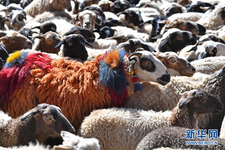 青岛高新区“重金”扶持高层次创业人才