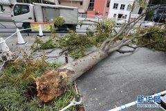 人才集聚新高地 一张图看懂济南双创19条