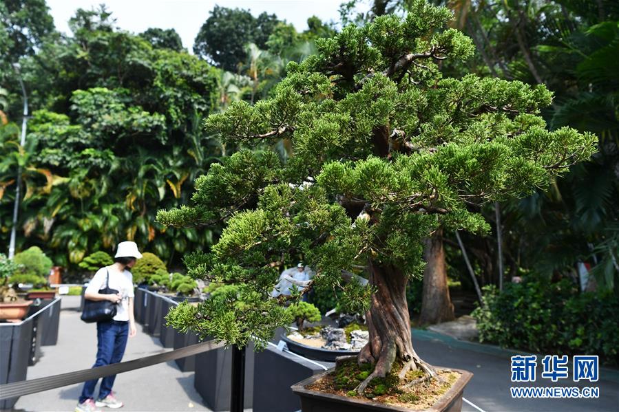 人才集聚新高地 一张图看懂济南双创19条