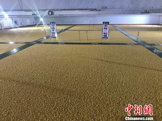 科技储粮形成的“天然冰箱”，粮食都处在保鲜状态中。　李彦国 摄
