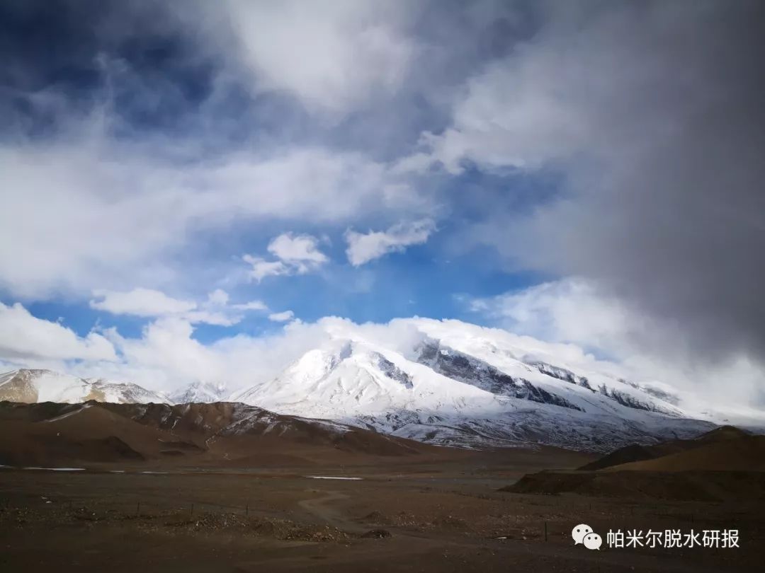 上周头部机构密集调研电子、医药、计算机等行业