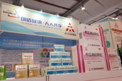 东盟人工智能峰会 科技融合构筑价值体系