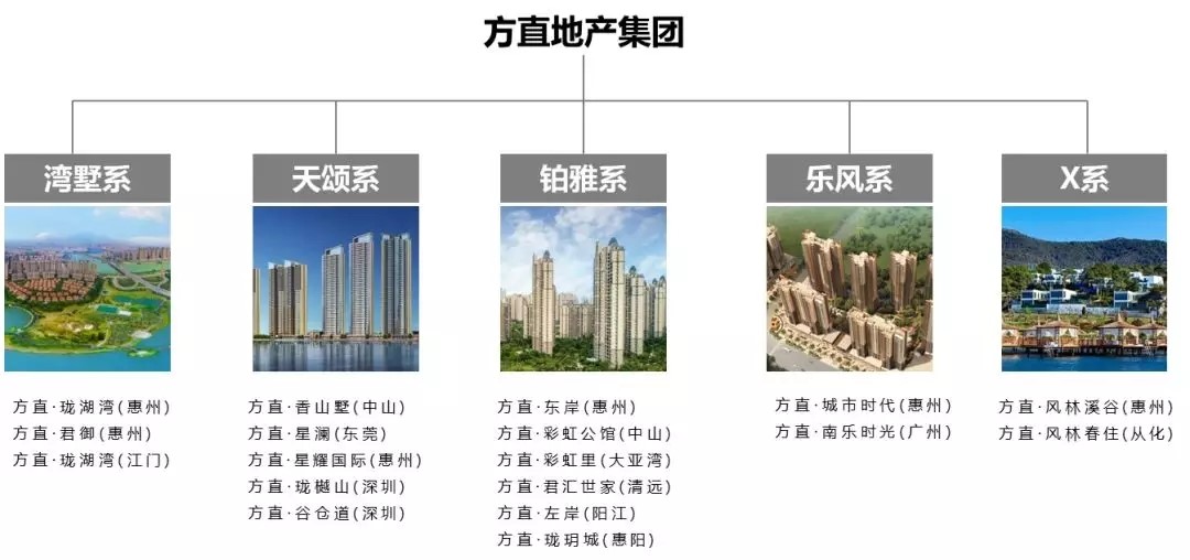再获行业认可！方直荣膺“2019中国粤港澳大湾区