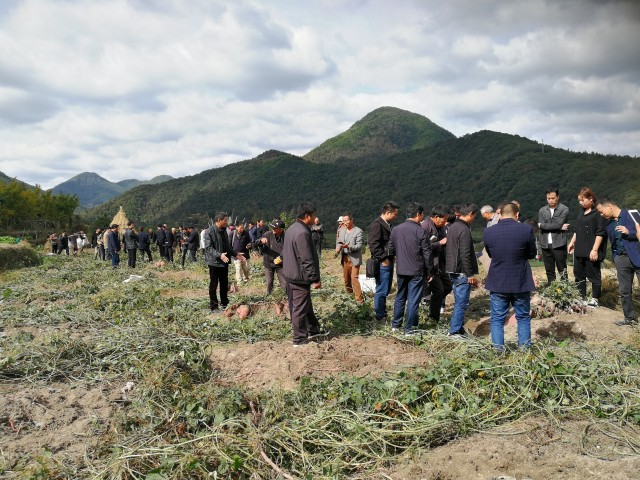 关于奉化区实施乡土人才 “百人计划”的政策解读