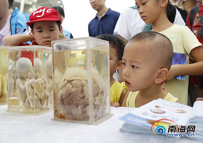炫酷科技产品来袭!2019年海南省“全国科普日”