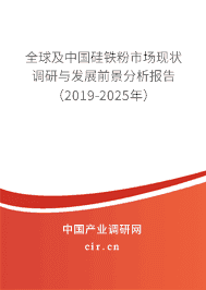 全球及中国硅铁粉市场现状调研与发展前景分析报告（2018-2025年）