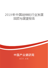 2019年中国硅铁粉行业发展回顾与展望报告