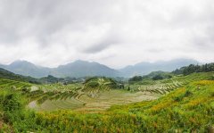 我国5A级景区门票价格研究，票价到底降没降？
