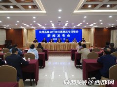 凤翔发布重点行业扫黑除恶成果 破获涉黑涉恶案