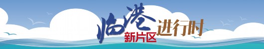 临港外国人才创新政策正式公布，新片区将打造