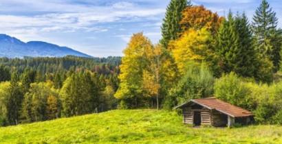 “潜伏”在统招队伍的“中外合作学校”